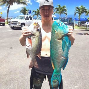 Meet your Posher, Alika